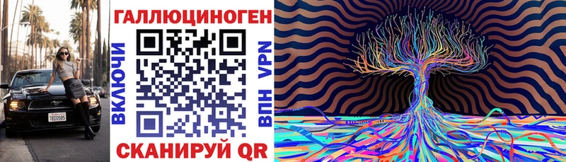 Купить где  Сланцы  Псилоцибиновые грибы GOLDEN TEACHER 